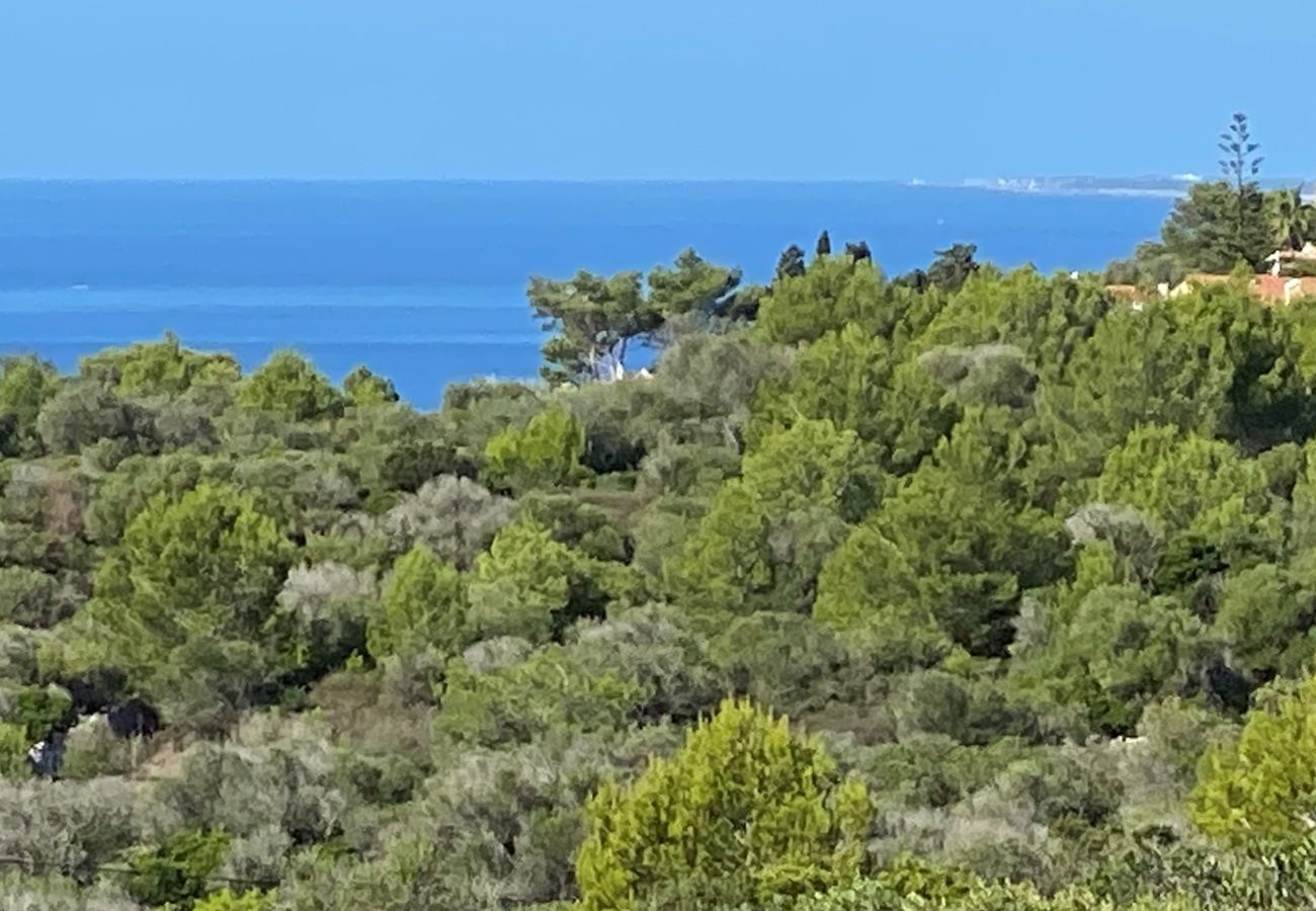 Country house in Son Bou - Finca SANT JAUME