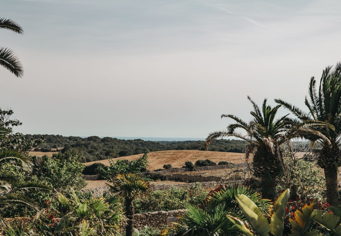 Country house in Ferreries - Finca MASSO