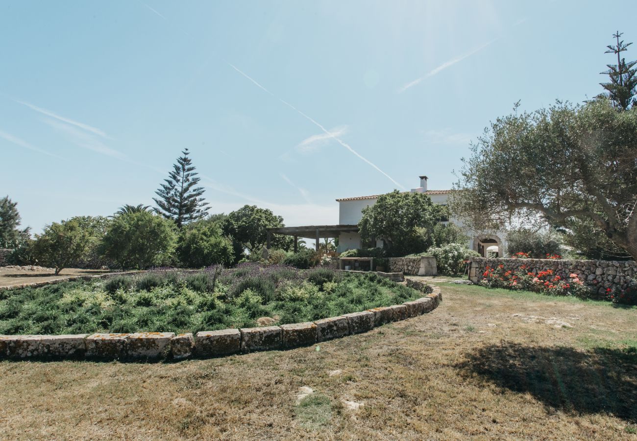 Country house in Ferreries - Finca MASSO