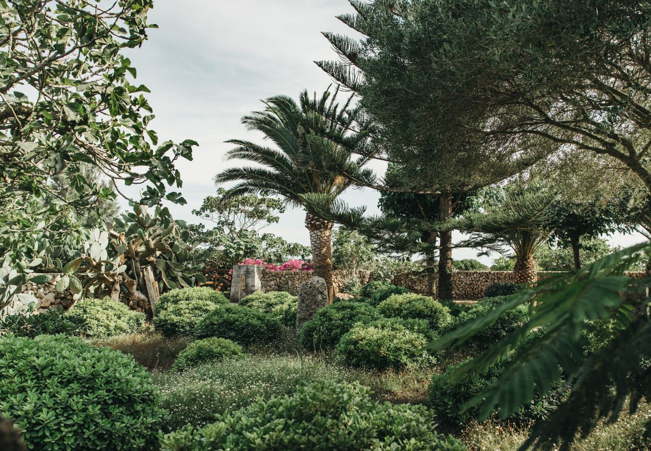 Country house in Ferreries - Finca MASSO