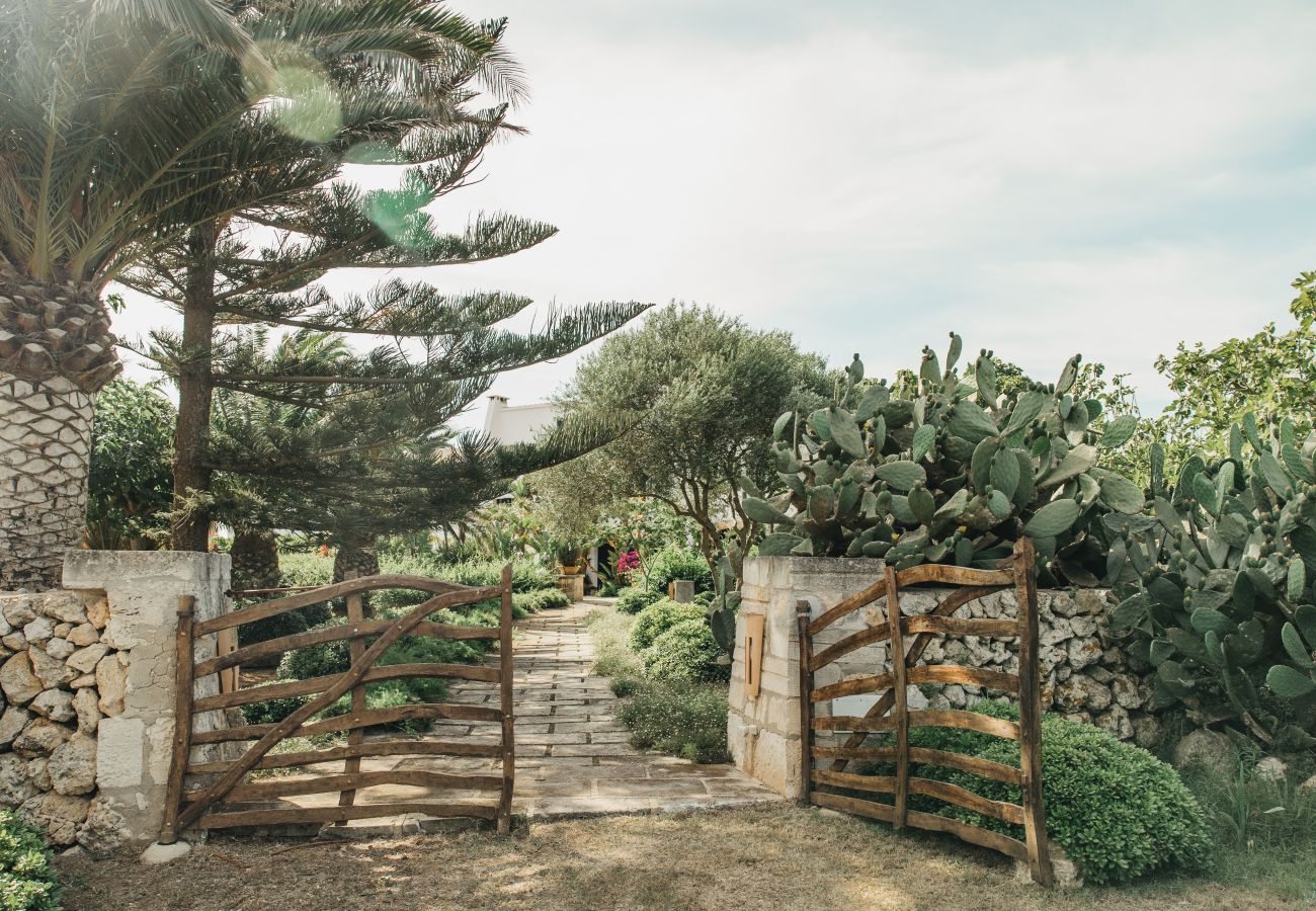 Country house in Ferreries - Finca MASSO